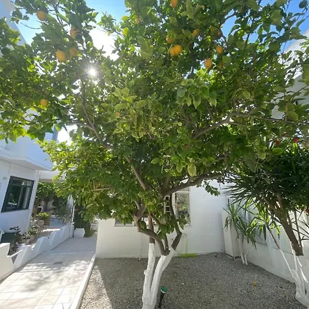 View Apartment